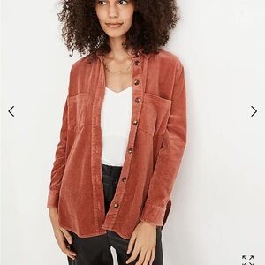 madewell Corduroy Sunday Shirt size Medium- in excellent used condition- cotton